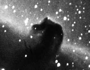 horsehead cropped 2